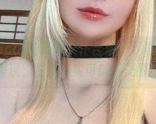 Vinnegal的蕾泽女仆合集：下载后你会发现，生活其实可以很美丽！