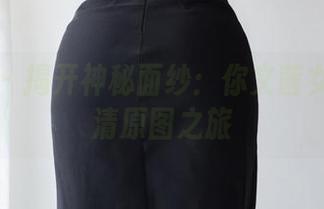 微密圈 – 揭开神秘面纱:你文茜女友的高清原图之旅