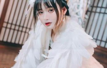 兔子Zzz不吃胡萝卜x蒸汽少女：奇幻图集大放送