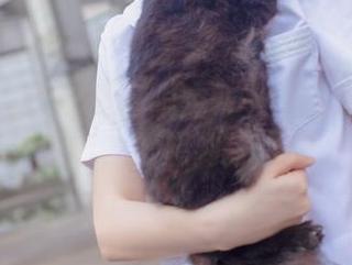 疯猫ss2022夏日限定A本：兔女郎图片更新，没想到这么撩